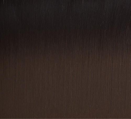 1B/4 Balayage | Tape In