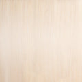 60A Most Platinum Ash | Tape In Weft