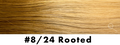 8/24 Rooted | Hand Tied Weft