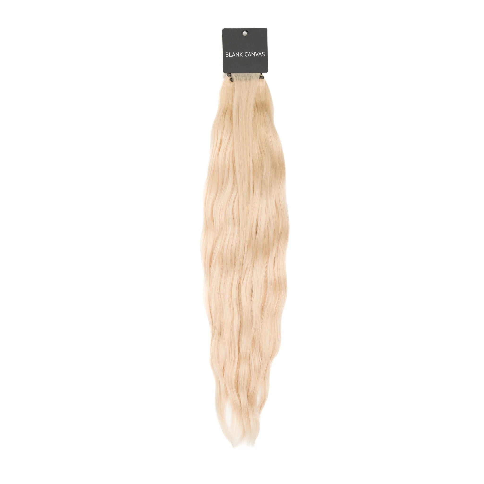 Blank Canvas | Asian Microweft