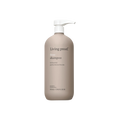 No Frizz Shampoo