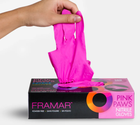 Gloves 100 Pack