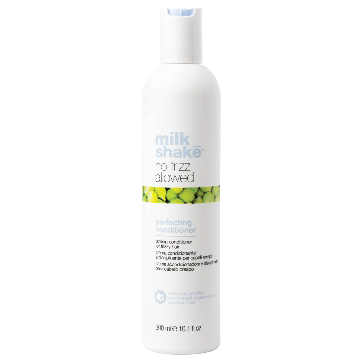NO FRIZZ CONDITIONER