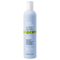 NO FRIZZ SHAMPOO