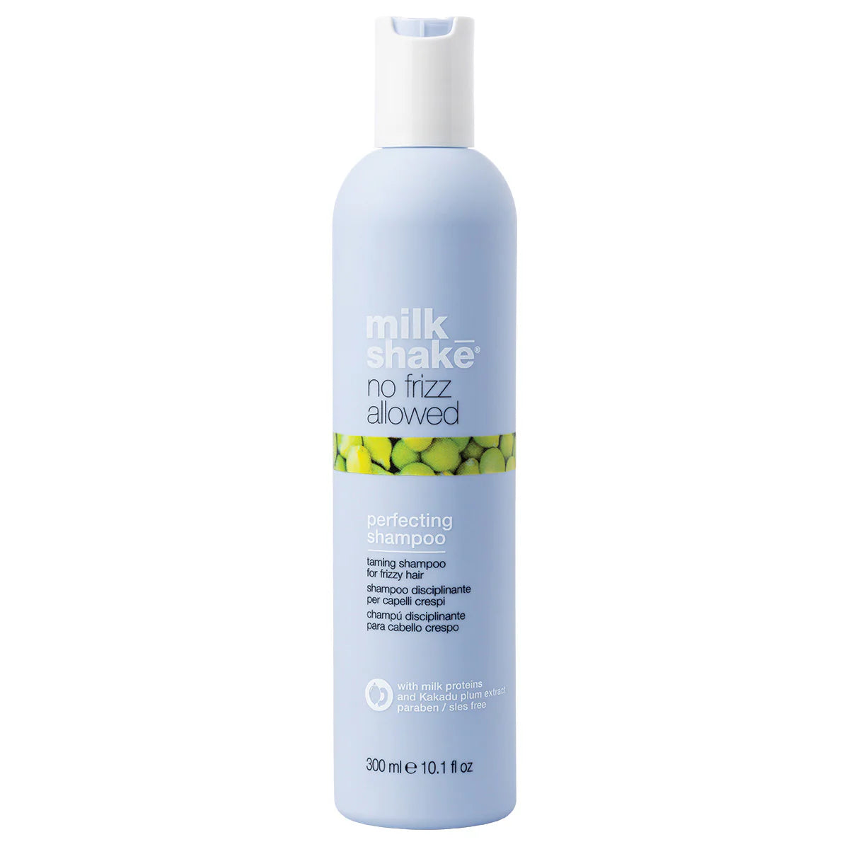 NO FRIZZ SHAMPOO