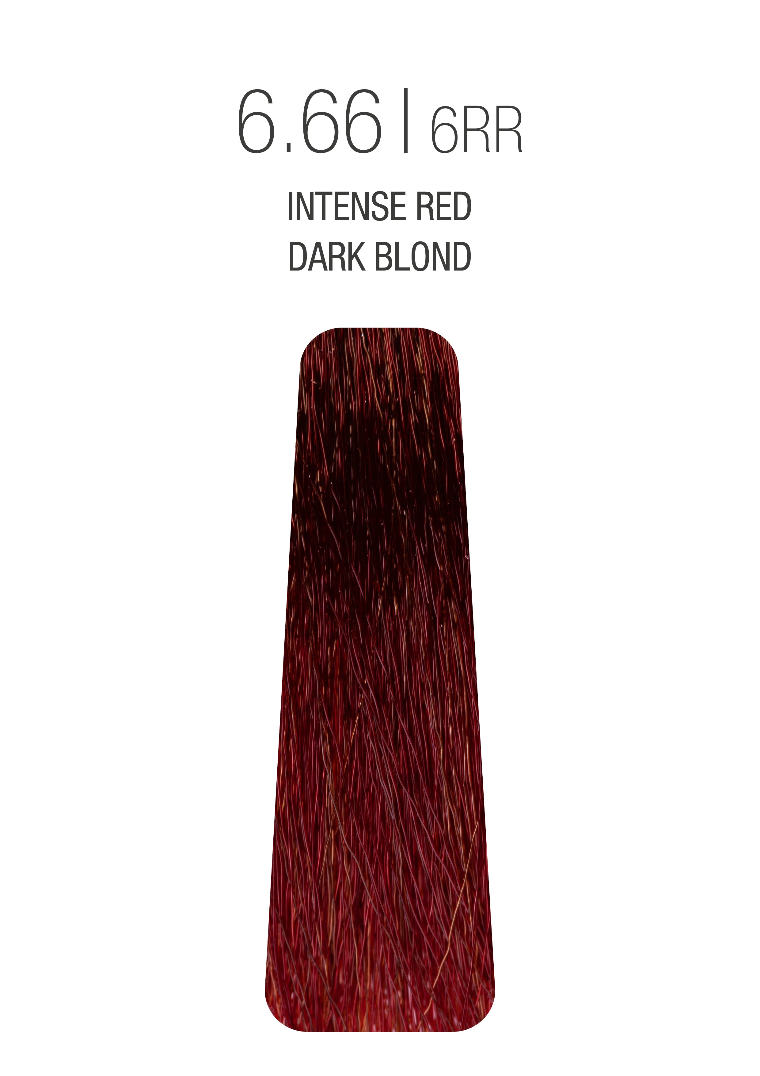 The Gloss 2.03 oz