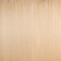 24 Light Golden Blonde | Tape In Weft